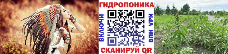 Галлюциногенные грибы Пенза