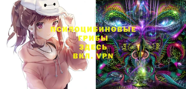apvp Волосово