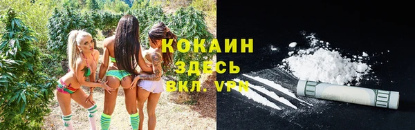 apvp Волосово